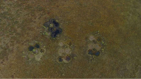 Detectan unos extraños cráteres en un área remota de la taiga rusa