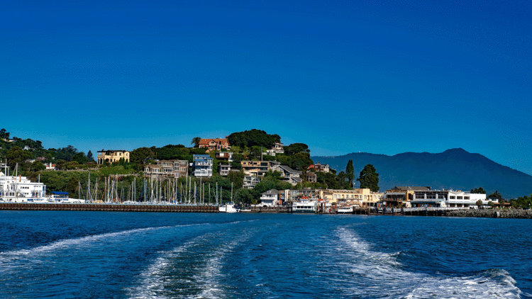 ¿Karma?: Escapa de la Policía tirándose al mar pero se encuentra con un tiburón (VIDEO)