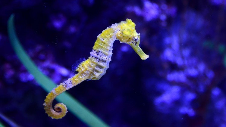 "Quisiera que esta imagen no existiera, pero ya que existe quiero que todo el mundo la vea" (FOTO)