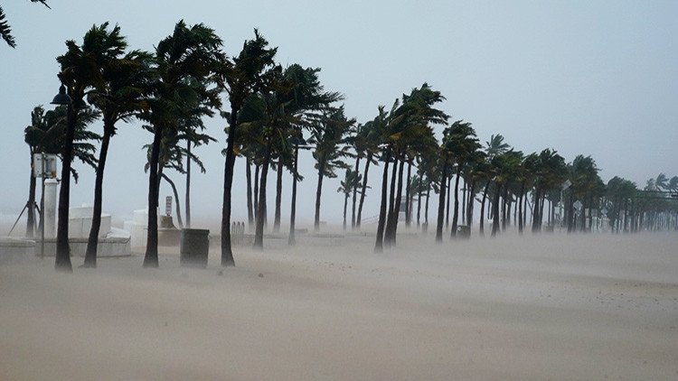 FOTOS: El huracán Irma deja al descubierto en Florida una canoa de varios siglos de antigüedad