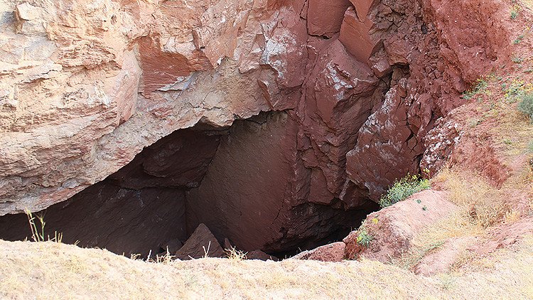 Hallan un animal troglodita de género totalmente desconocido