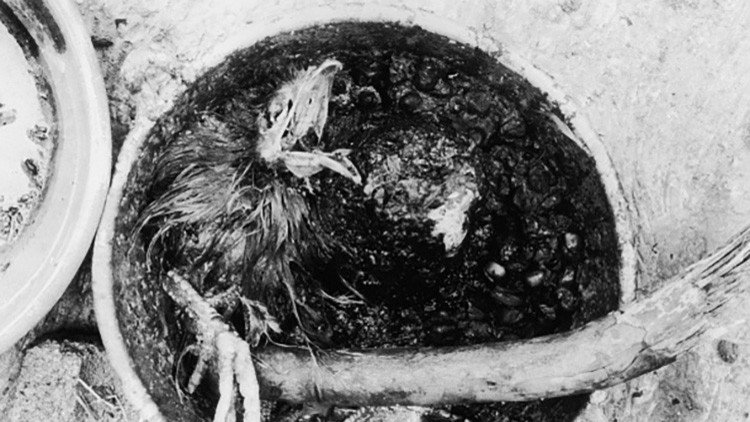 Adolfo de Jesús Constanzo, el 'narco' que fundó un culto asesino de magia negra