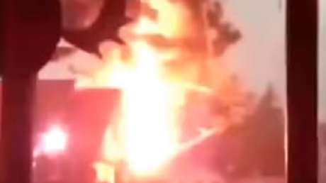 La furia de la naturaleza: un árbol reducido a astillas tras el impacto de un rayo