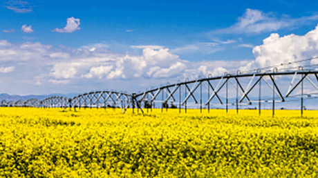 Un bloqueo estadounidense permitirá aumentar la recaudación argentina