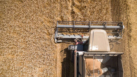 Rusia, la superpotencia emergente en el abastecimiento alimentario global