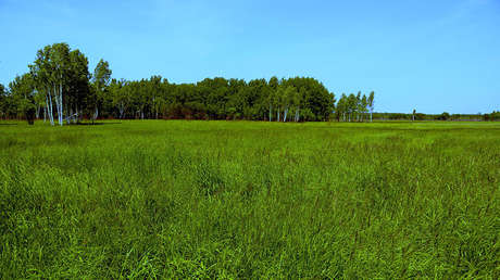 Putin propone regalar tierras en el Lejano Oriente a inmigrantes con antepasados rusos