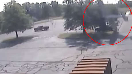 Árbol salvador: Un piloto sale ileso de un accidente de avioneta