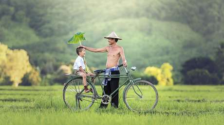 Desvelada la capacidad de los padres de influir en el género de sus vástagos 