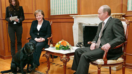 Un juego de palabras intraducible: un semanario alemán explica su insulto a Putin