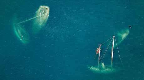Ahora aparece María y se dirige a las zonas del Caribe que ya fueron azotadas por el huracán Irma