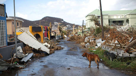 "Dominica ha sido devastada como Barbuda"