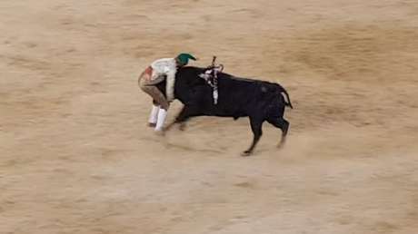 Un joven torero portugués muere por una cornada fatal (18+)