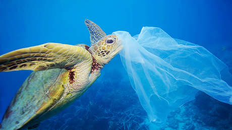 Chile será el primer país de América en prohibir las bolsas de plástico en zonas costeras