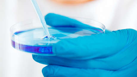 Una actriz se inyecta una bacteria de 3,5 millones de años en busca de la eterna juventud (VIDEO)