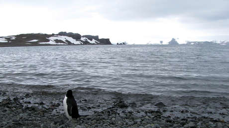 Científicos descubren vestigios de un mar de hace 400 millones de años