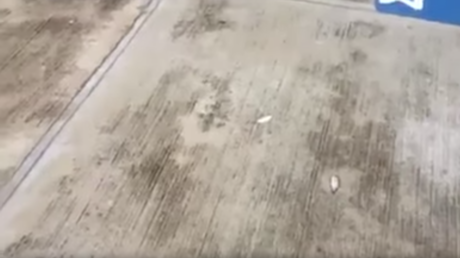 VIDEO: Una lluvia de peces sorprende a una localidad en el norte de México