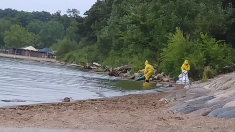 ¿Existen las sirenas? Un turista graba cómo sacan del agua a una criatura con cola de pez 