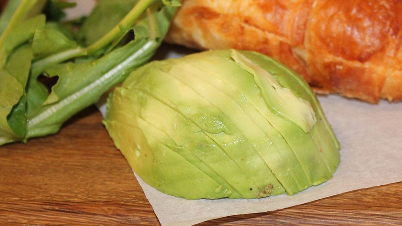 Se busca catador de aguacates en Australia y así es cómo pagarán 