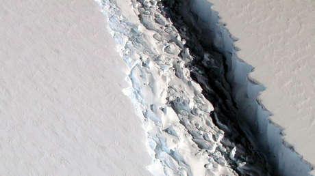 La ruptura de un iceberg desvela un ecosistema oculto durante más de cien mil años