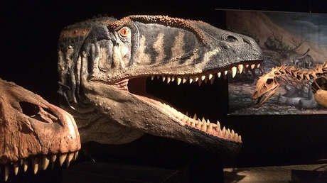 Tailandia: Encuentran el fósil de dinosaurio más grande del país (FOTO)