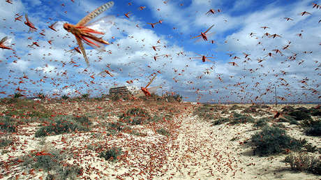 Científicos advierten de que estamos en camino hacia un "Armagedón ecológico"