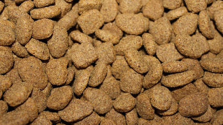 El Gobierno de São Paulo alimentará a estudiantes con "comida para perros"