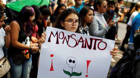 Contaminación transgénica: un riesgo inminente para México y la UE