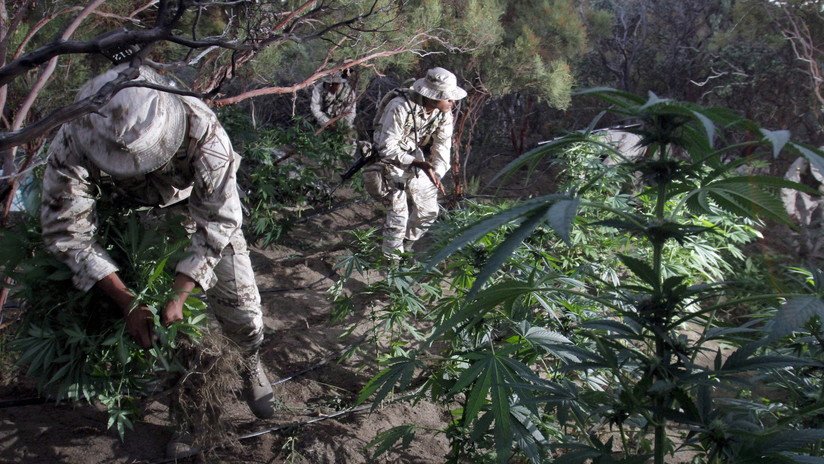 'El Big Papa': El narco mexicano del que nunca hablaron los medios