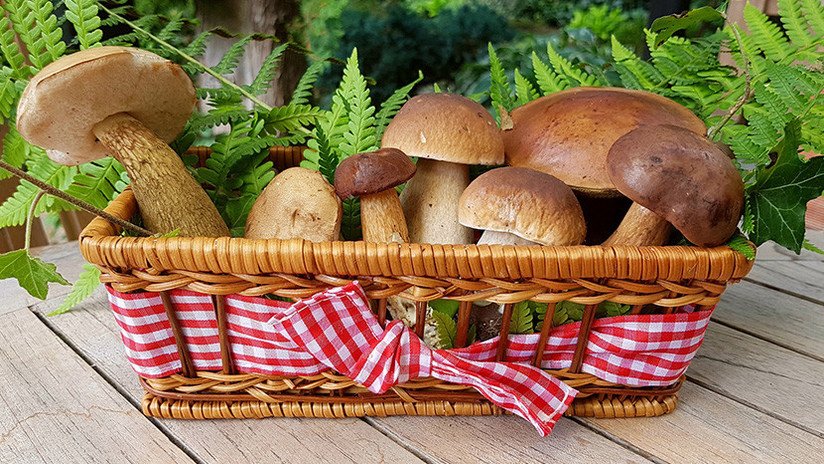 Científicos dan a conocer el alimento que ayuda a retrasar el envejecimiento