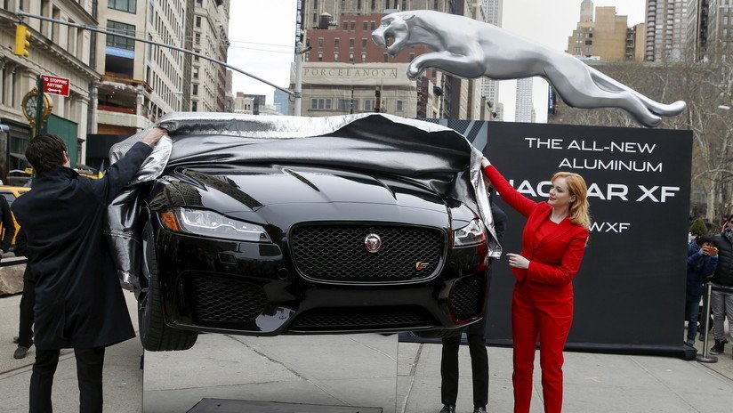 Hunde su Jaguar en un río para percibir el seguro y la historia tiene un final trágico 