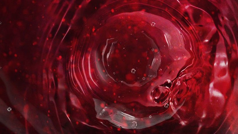 "Horrible y repugnante": Descubren una tubería que vierte sangre en el Pacífico (VIDEO)