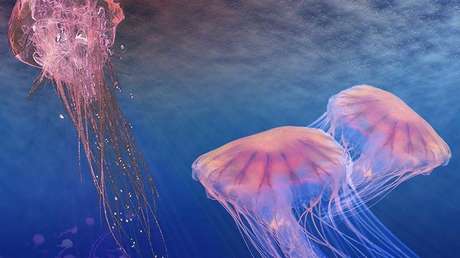 Los investigadores de la Universidad de Oxford definen cómo serían los alienígenas