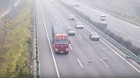 Tres ovejas provocan un accidente de tráfico mortal en China (videos)