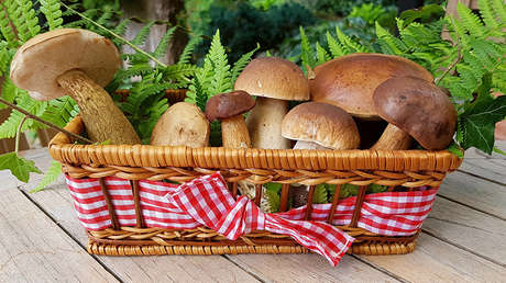 Científicos dan a conocer el alimento que ayuda a retrasar el envejecimiento