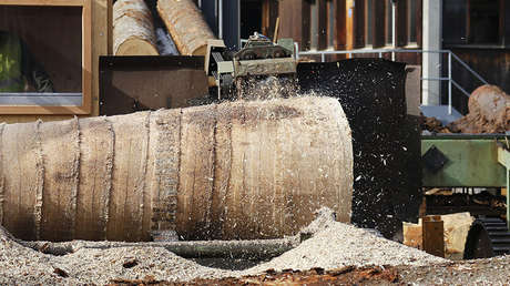 Sufre una espantosa muerte al caer en una trituradora cuando pretendía ayudar a  su vecina