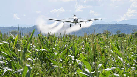 Cánceres, malformaciones y abortos espontáneos: Así es la Argentina fumigada