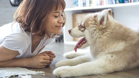 El mejor amigo del hombre: Tener un perro te podría ayudar a vivir más