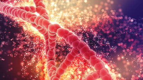 La clave contra el envejecimiento podría estar en una comunidad de EE.UU.