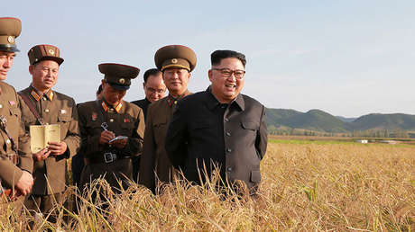 Ocho norcoreanos llegan a las costas japonesas en un barco de madera