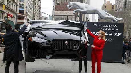 Hunde su Jaguar en un río para percibir el seguro y la historia tiene un final trágico 