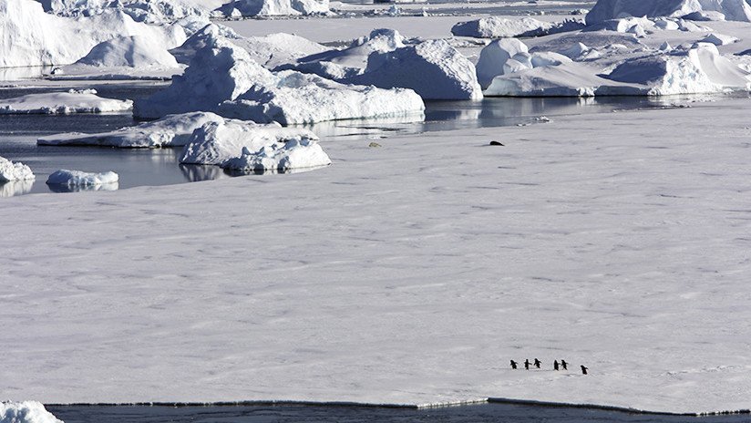 Hallan bacterias en la Antártida que pueden dar pistas sobre la vida en otros planetas