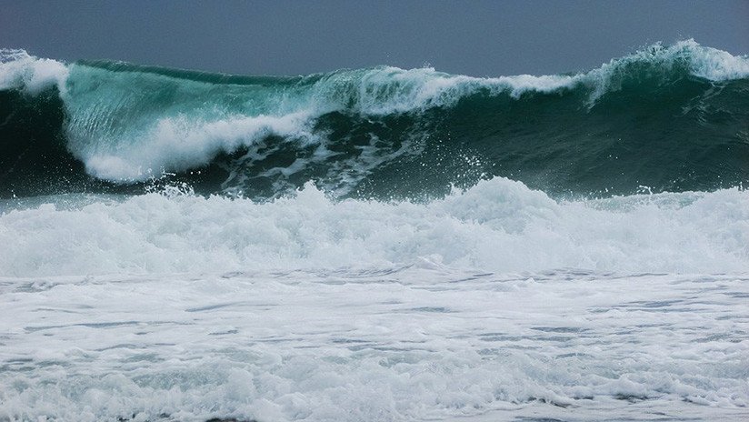 VIDEO: La dueña de un perro se arroja al mar para rescatarlo 