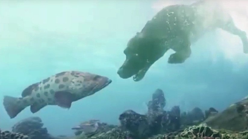 Rusia desarrolla una tecnología única para respirar en el agua (VIDEO)