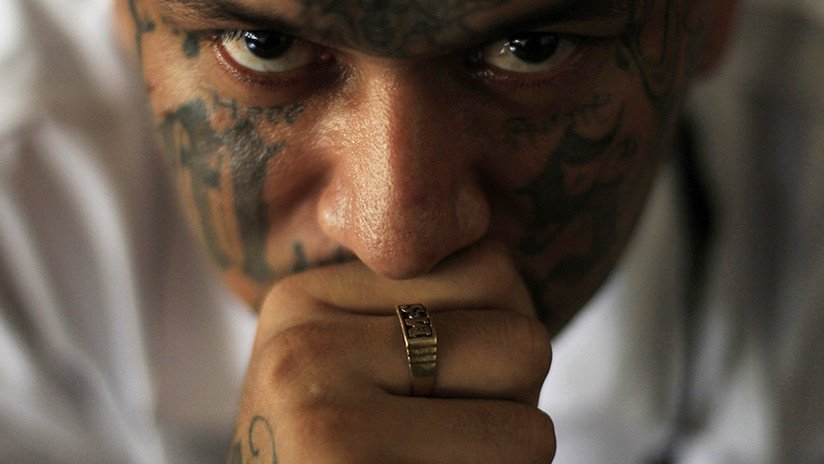 Programa 503: La pandilla que desafía a la Mara Salvatrucha y le declara la guerra