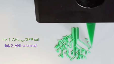 FOTO, VIDEO: el primer tatuaje 3D vivo del mundo gracias a células genéticamente programadas