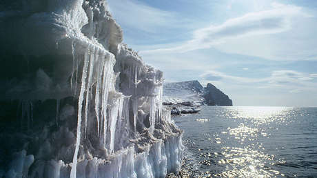 FOTOS: Reportan una invasión de 'serpientes marinas mutantes' en el Extremo Oriente ruso