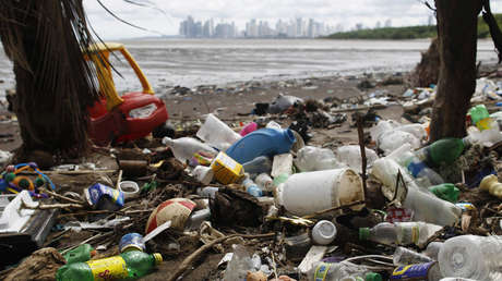 Videos desgarradores: La contaminación plástica del hombre acaba con magníficas criaturas marinas