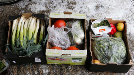 México desperdicia 20 millones de toneladas de alimentos al año