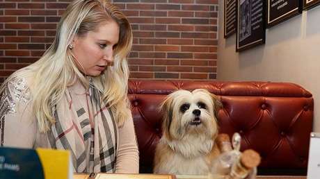 FOTOS: Lujoso hotel canino abre sus puertas en la India