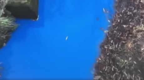 Resuelven el misterio de un arroyo que era demasiado azul (VIDEO)